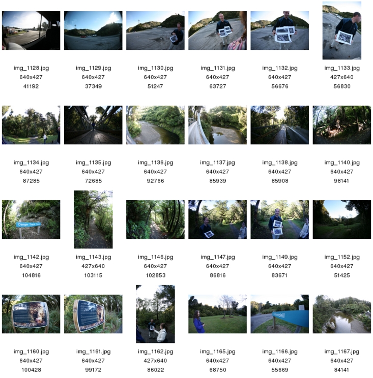 Choose image